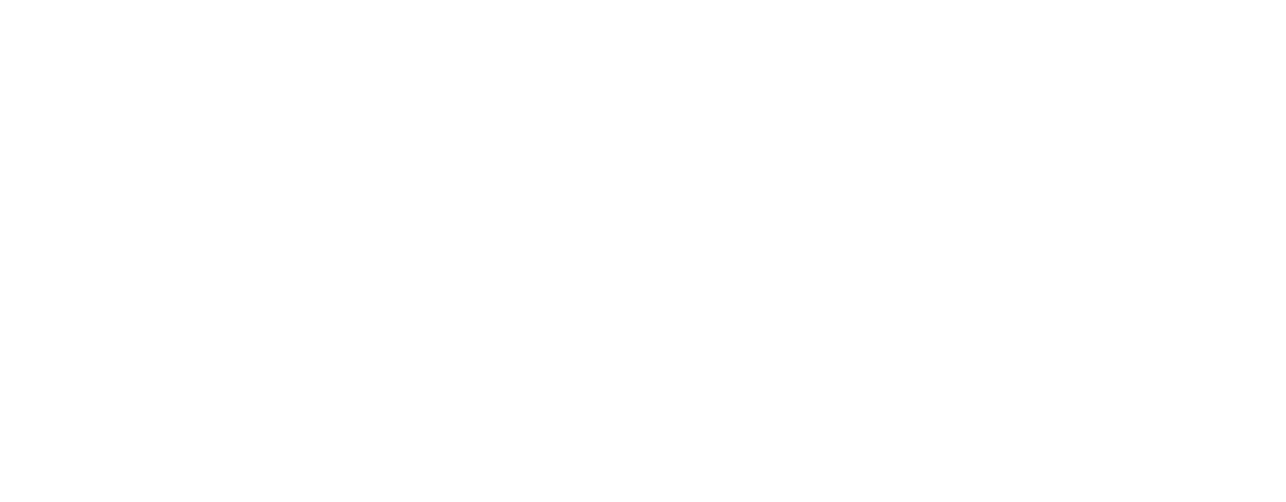 naattiorkesteri_etusivu